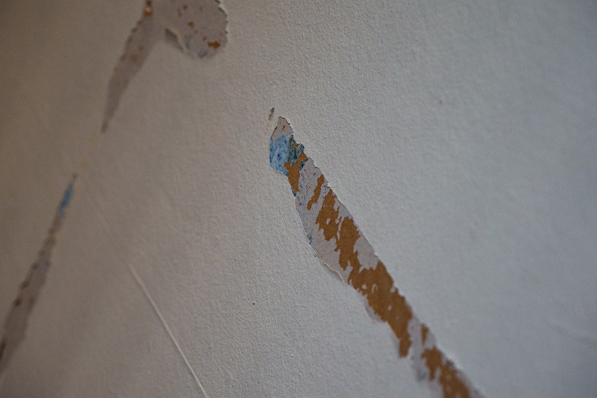 Mold Remediation service in Plano, TX